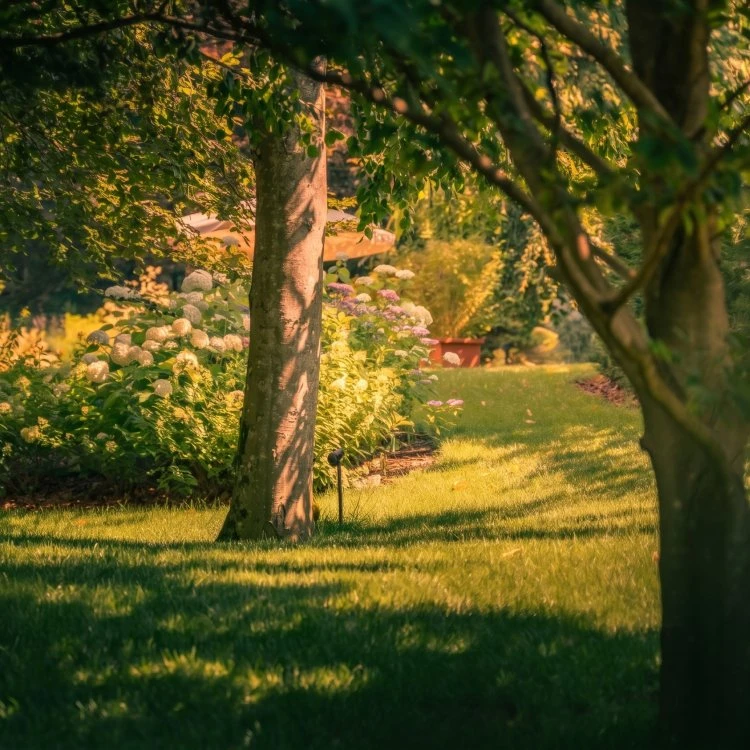 Yoga e meditazione