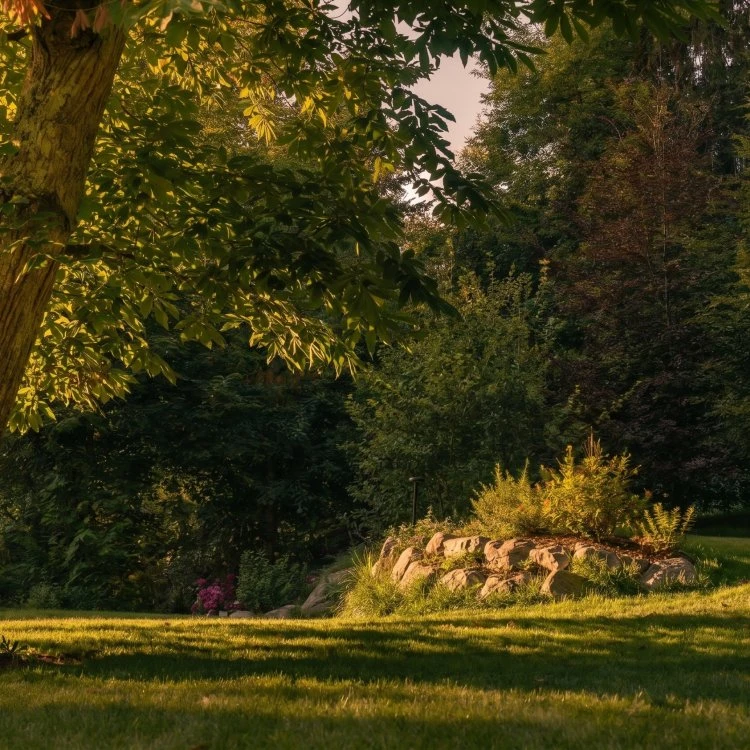 L'anima del parco